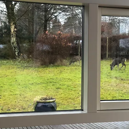 Near & Heatherhill - 101 M2 Holiday home *